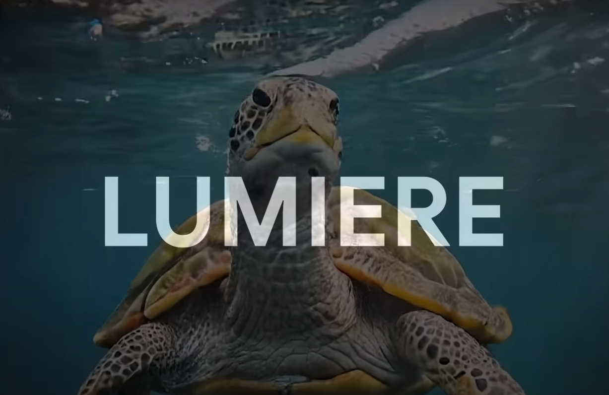 What is Lumiere AI? A Text-to-Video Generative AI by Google